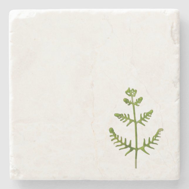 Posavasos De Piedra verde primavera (Anverso)