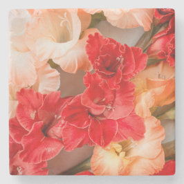 Posavasos De Piedra Vibrant Gladiolus flowers