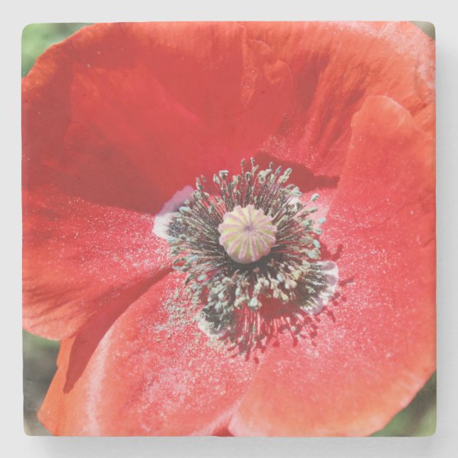 Posavasos De Piedra Vibrant Red Macro Botanical Poppy Floral (Anverso)
