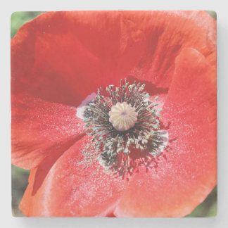 Posavasos De Piedra Vibrante Floral Macro Botánica Amapola Roja