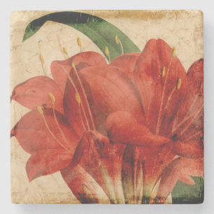 Posavasos De Piedra Vibrante Floral VIII