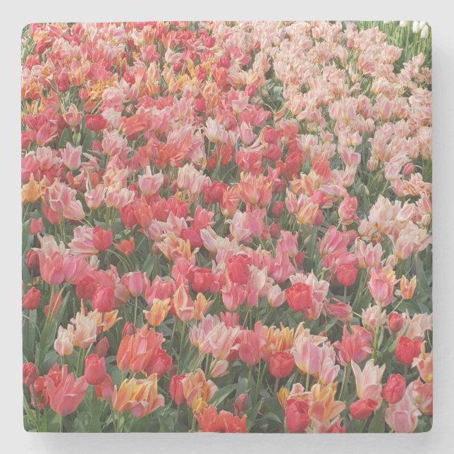 Posavasos De Piedra Vibrante Tulipán Rosa (Anverso)