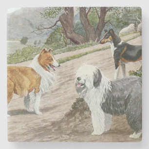 Posavasos De Piedra Viñage Dog Trio