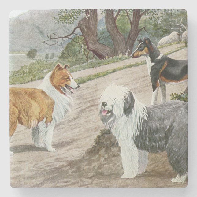 Posavasos De Piedra Viñage Dog Trio (Anverso)