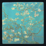 Posavasos De Piedra Vincent Van Gogh Blossoming Almond Tree Floral Art<br><div class="desc">Vincent Van Gogh Blossoming Almond Tree Vintage Floral Art Blossoming Almond Tree es un cuadro de 1890 del artista holandés post-impresionista Vincent van Gogh. Almond Blossoms es un grupo de varios cuadros de 1888 y 1890 de Vincent van Gogh en Arles y Saint-Rémy, al sur de Francia, de almendros florecientes....</div>