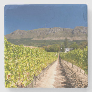Posavasos De Piedra Viñedo, Ciudad del Cabo, Cabo Occidental, Sudáfric
