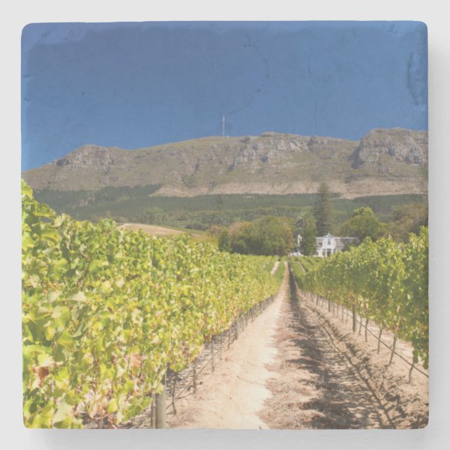 Posavasos De Piedra Viñedo, Ciudad del Cabo, Cabo Occidental, Sudáfric (Anverso)