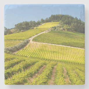 Posavasos De Piedra Viñedo, Stellenbosch, Cabo Occidental