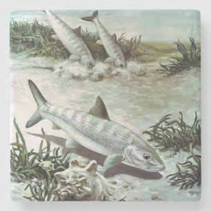 Posavasos De Piedra Vintage Bonefish Underwater Scene