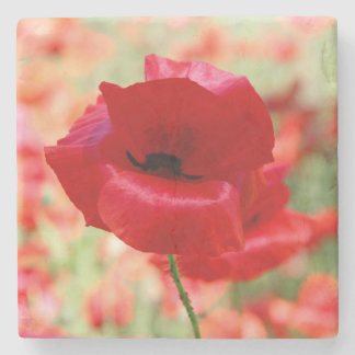 Posavasos De Piedra Vintage Red Poppy Flower