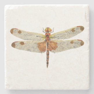 Posavasos De Piedra vista superior de un macho Calico Pennant Dragonfl