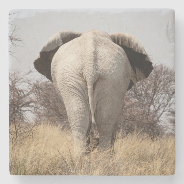 Posavasos De Piedra Vista trasera del elefante (Anverso)