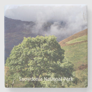 POSAVASOS DE PIEDRA VISTAS DE GALES