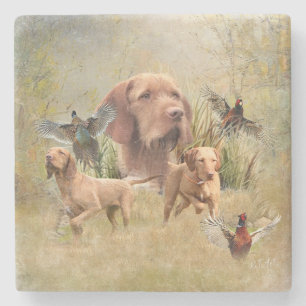 Posavasos De Piedra Vizsla de cabello alámbrico húngaro