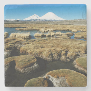 Posavasos De Piedra Volcanes Payachalas
