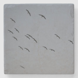 Posavasos De Piedra Vuelo nocturno