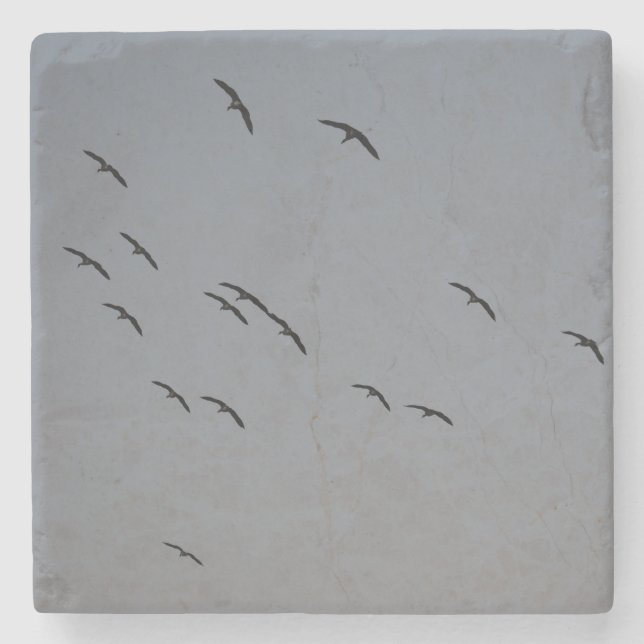 Posavasos De Piedra Vuelo nocturno (Anverso)