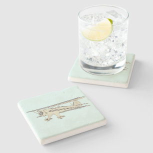 Posavasos De Piedra Waco Biplane