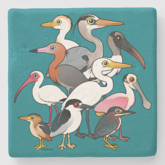 Posavasos De Piedra Waders norteamericanos