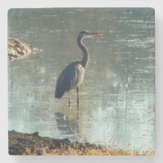Posavasos De Piedra Wading Heron en Wetland Pond