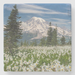 Posavasos De Piedra Washington, Parque Nacional Mount Rainier 1