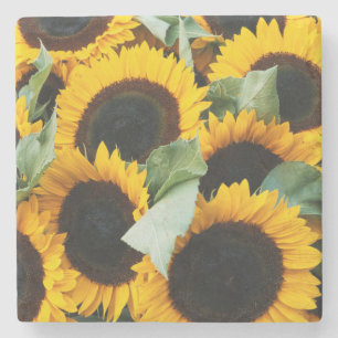 Posavasos De Piedra Washington, Seattle, Girasol a la venta pike