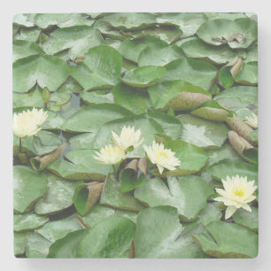 Posavasos De Piedra Water Lillies
