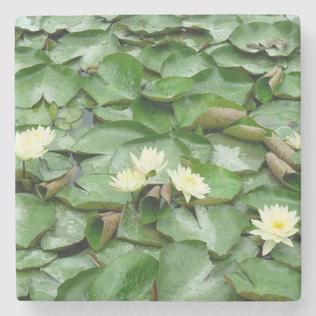 Posavasos De Piedra Water Lillies (Anverso)