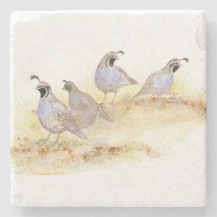 Posavasos De Piedra Watercolor California Quail Bird Nature