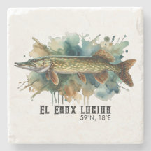 Watercolor Series: Pike