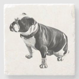 Posavasos De Piedra Weight Held in Stillness