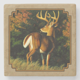 Posavasos De Piedra Whitetail Buck Deer Hunting Tan