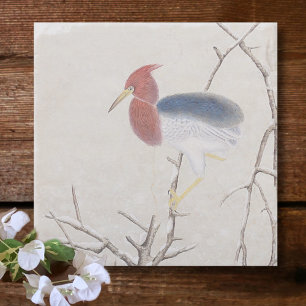 Posavasos De Piedra Winter Bird