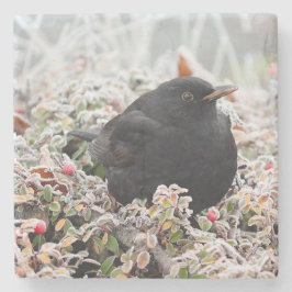 Posavasos De Piedra Winter Blackbird