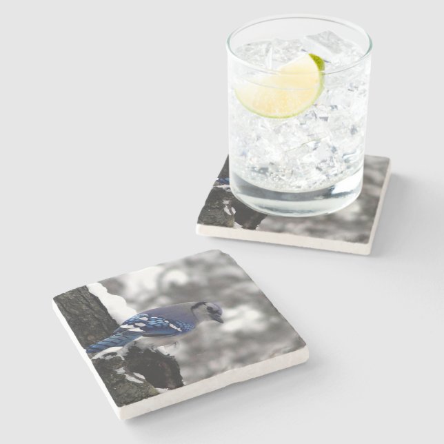 Posavasos De Piedra Winter Blue Jay (Lateral)