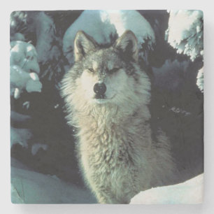 Posavasos De Piedra Wolf