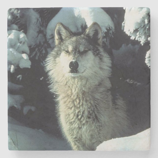 Posavasos De Piedra Wolf (Anverso)