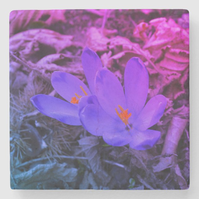 Posavasos De Piedra Woodland Crocus (Anverso)