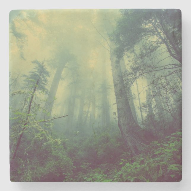 Posavasos De Piedra Woodland desde abajo (Anverso)