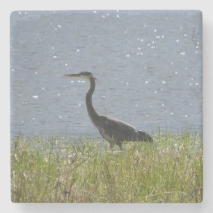 Posavasos De Piedra WWing Blue Heron Wetland Pond Stone Coaster