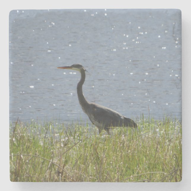 Posavasos De Piedra WWing Blue Heron Wetland Pond Stone Coaster (Anverso)