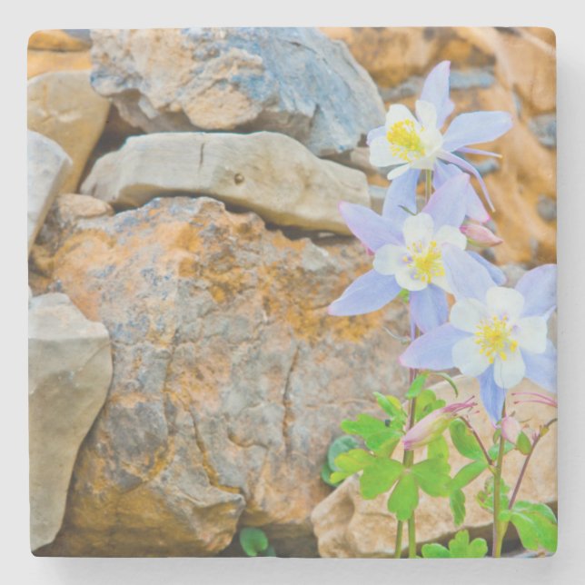 Posavasos De Piedra Wyoming, Parque Nacional Grand Teton 1 (Anverso)