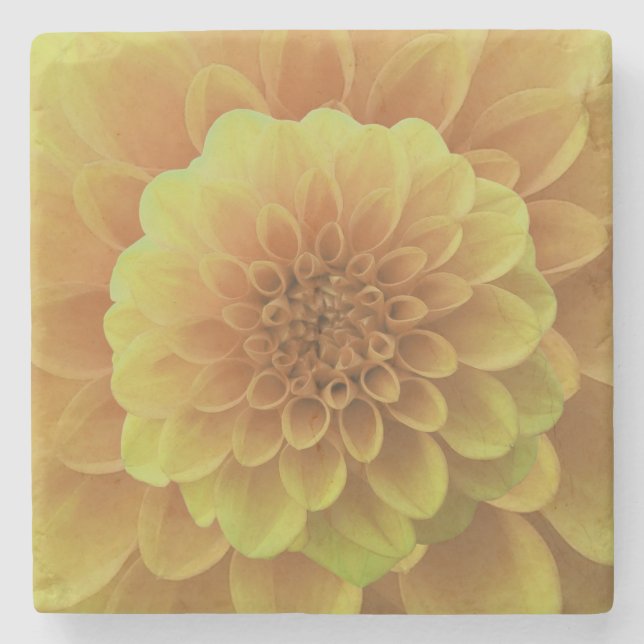 Posavasos De Piedra Yellow Dahlia (Anverso)