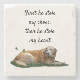 Posavasos De Piedra Yellow Labrador Raza mixta de esparadrapo de piedr