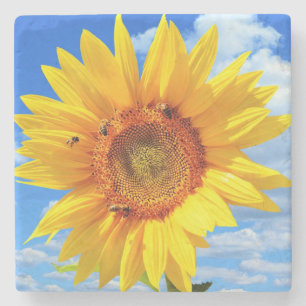 Posavasos De Piedra Yellow Sunflower and Bebe Stone Coaster Blue Sky