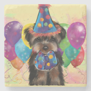 Posavasos De Piedra Yorkie