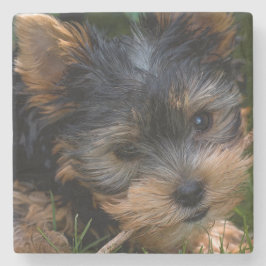 Posavasos De Piedra Yorkshire