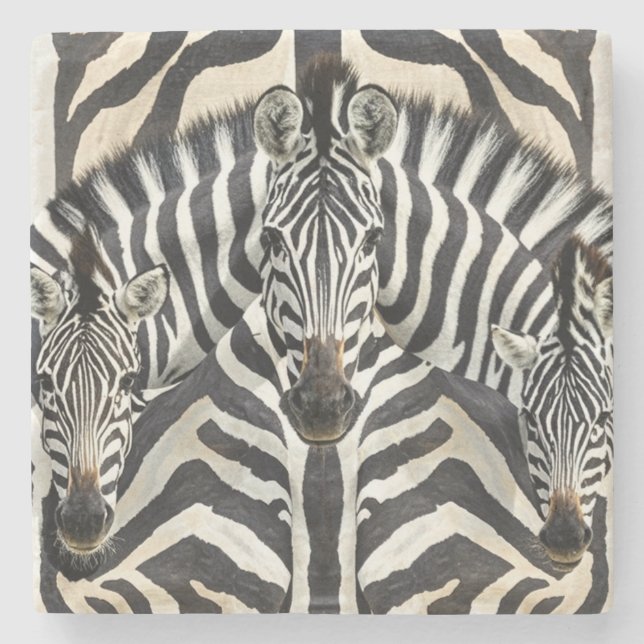 Posavasos De Piedra Zebra Coasters (Anverso)