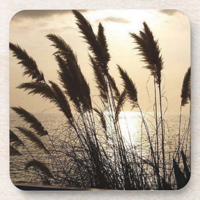 Posavasos de plástico duro con puesta de sol - Jue (Frente)