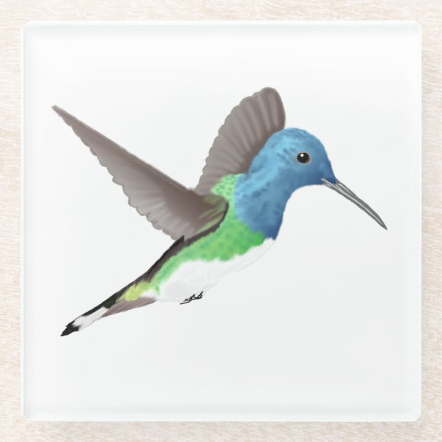 Posavasos De Vidrio Abandonar a Jacobin Hummingbird - transparente. (Anverso)